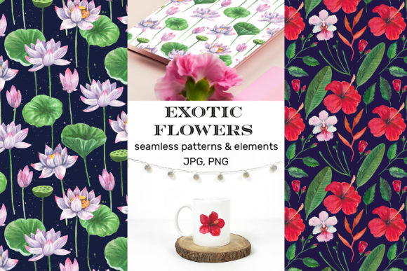 Collection of Lotus and Hibiscus Flowers: A Versatile Resource for Designers and Creators